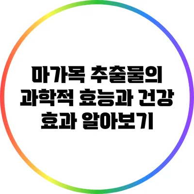 마가목 추출물의 과학적 효능과 건강 효과 알아보기