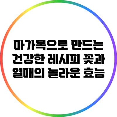 마가목으로 만드는 건강한 레시피: 꽃과 열매의 놀라운 효능