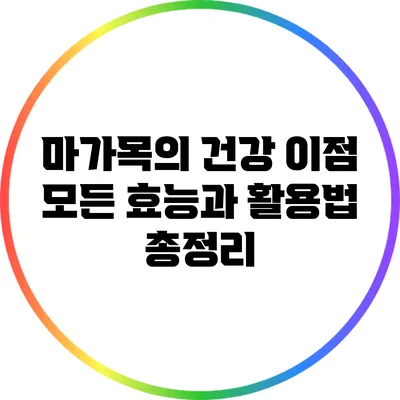 마가목의 건강 이점: 모든 효능과 활용법 총정리