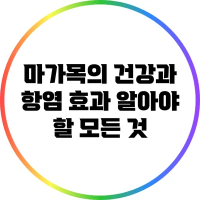 마가목의 건강과 항염 효과: 알아야 할 모든 것