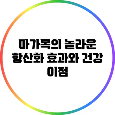 마가목의 놀라운 항산화 효과와 건강 이점