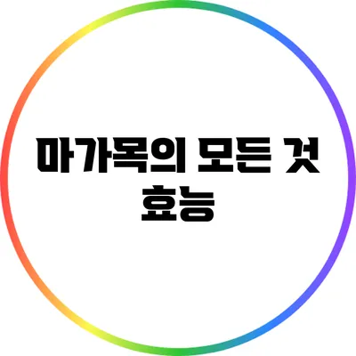 마가목의 모든 것: 효능
