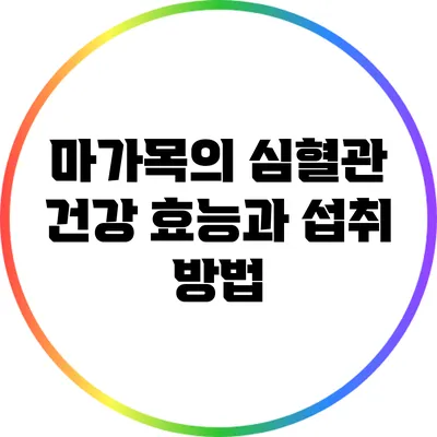 마가목의 심혈관 건강 효능과 섭취 방법