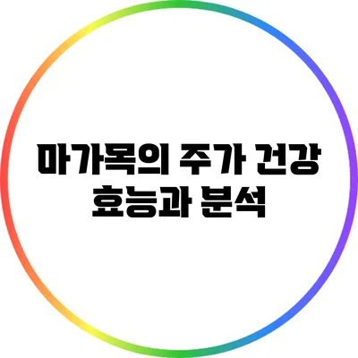 마가목의 주가 건강 효능과 분석