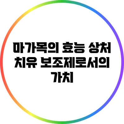 마가목의 효능: 상처 치유 보조제로서의 가치