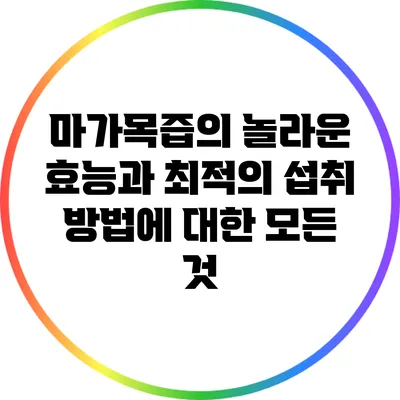 마가목즙의 놀라운 효능과 최적의 섭취 방법에 대한 모든 것