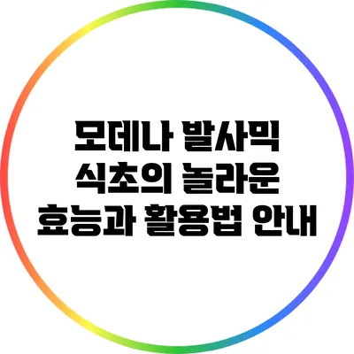 모데나 발사믹 식초의 놀라운 효능과 활용법 안내