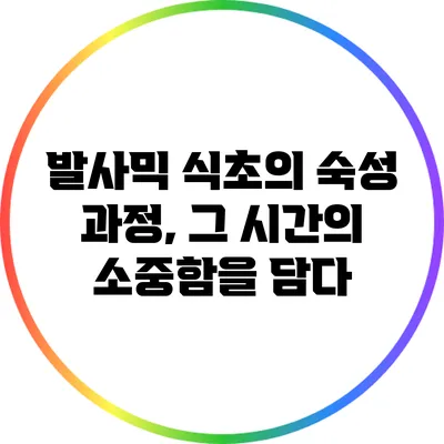 발사믹 식초의 숙성 과정, 그 시간의 소중함을 담다