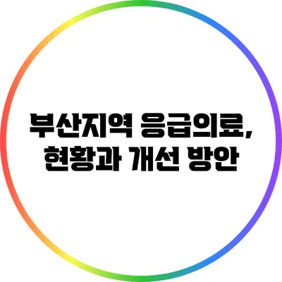 부산지역 응급의료, 현황과 개선 방안