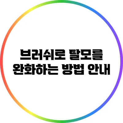 브러쉬로 탈모를 완화하는 방법 안내