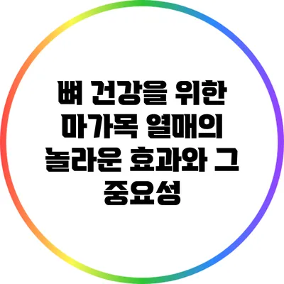 뼈 건강을 위한 마가목 열매의 놀라운 효과와 그 중요성