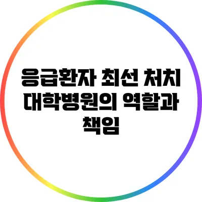 응급환자 최선 처치: 대학병원의 역할과 책임