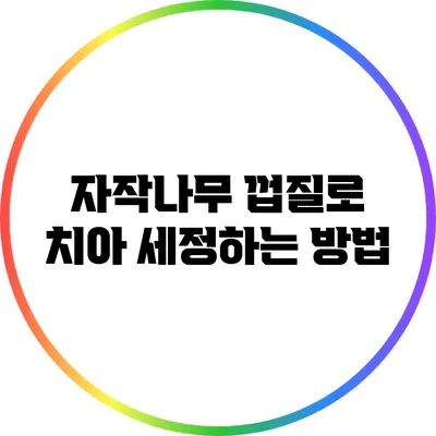 자작나무 껍질로 치아 세정하는 방법