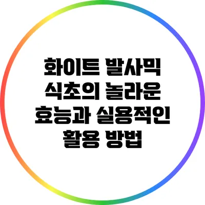화이트 발사믹 식초의 놀라운 효능과 실용적인 활용 방법