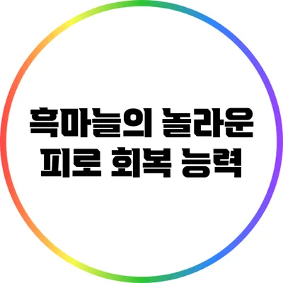 흑마늘의 놀라운 피로 회복 능력