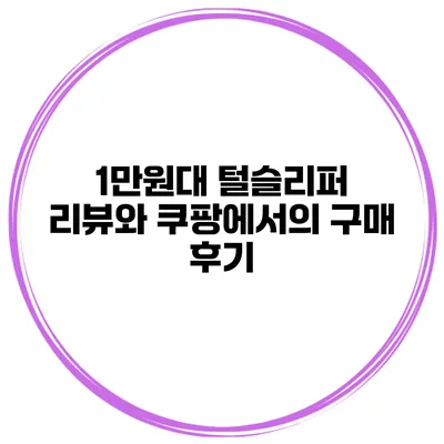 1만원대 털슬리퍼 리뷰와 쿠팡에서의 구매 후기