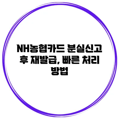 NH농협카드 분실신고 후 재발급, 빠른 처리 방법