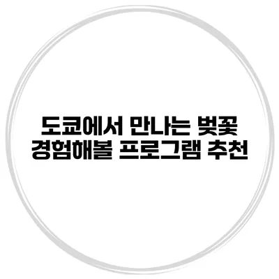 도쿄에서 만나는 벚꽃 경험해볼 프로그램 추천