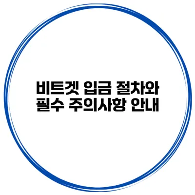 비트겟 입금 절차와 필수 주의사항 안내