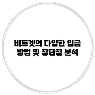 비트겟의 다양한 입금 방법 및 장단점 분석